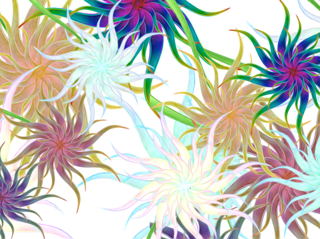 1024x768 Painted Flowers Wallpaper
